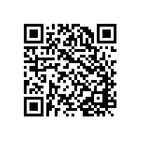 中國民宿行業(yè)市場前景研究報(bào)告