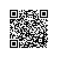 j9数字站电机成功通过TS16949认证现场审核