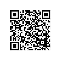 SSD翻转片-尺寸为3.0*φ22.0、31136防爆阀-尺寸为0.50*φ13.9、量大免模费