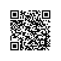 東莞厚街到新疆全境物流專線，鷹航物流專業(yè)承運(yùn)