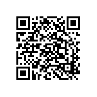 工業(yè)互聯(lián)網(wǎng)標(biāo)識注冊量超200億 “加速賦能”效應(yīng)凸顯