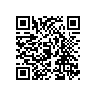 齿轮泵能不能用91视频导航网替代？