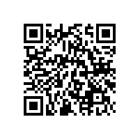 从“青岛学赶深圳”感悟到的--时间就是金钱，效率就是生命