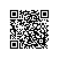 德国的进口凸轮91视频导航网有国产品牌的吗？