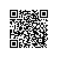 关于我国城市水安全问题的战略思考---邵益生