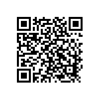 进口品牌凸轮91视频导航网有哪些？