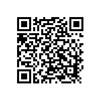 91视频下载网站技术团队现场技术服务实录