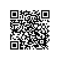 91视频下载网站凸轮91视频导航网的正确操作 （一）