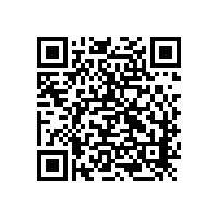 91视频下载网站凸轮91视频导航网适合打甲醇介质吗？