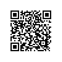 马来西亚PAE系统公司莅临青岛91视频下载网站公司访问交流