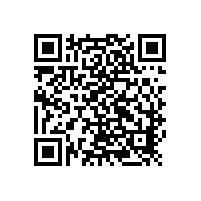 扫仓泵选择哪种泵解决气蚀震动问题。