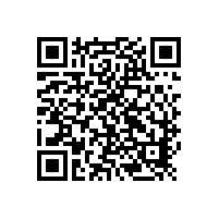 凸轮泵的橡胶转子出现裂纹的原因