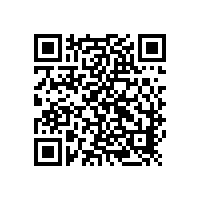 凸轮泵轴向和径向保护衬板介绍