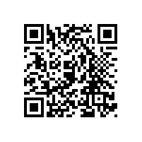 凸轮91视频导航网的易损部件有哪些？