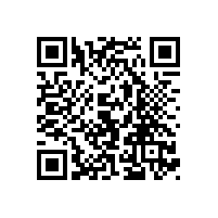 凸轮91视频导航网为什么具有无堵塞的特点？