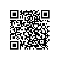 凸轮91视频导航网转子与泵壳间隙对性能的影响