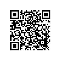 橡胶91视频导航网是否存在气缚现象？