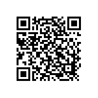 91视频导航网的维护四重点—来自91视频下载网站91视频导航网厂家的建议