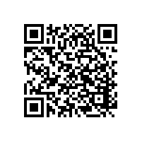 大型風機配套軸承實現國產