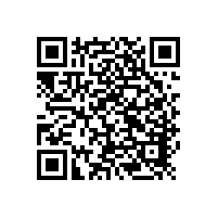 天天人人夜夜精品国产都有哪些減震方式？