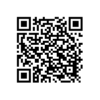 青島三葉5G影院天天看天天爽鼓風機定製可以選用哪些材質的？