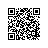 銀箭高檔塑膠漆用鋁銀漿獲得新客戶好評