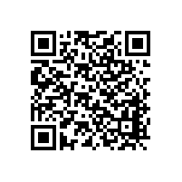 德亞路內停車系統助力城市道路逃費管理