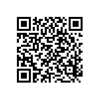 羅德凸輪轉(zhuǎn)子泵，無(wú)泄漏化工設(shè)備的首選