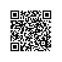 凸輪轉(zhuǎn)子泵流量輸出穩(wěn)定嗎？