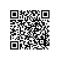凸輪轉(zhuǎn)子泵穩(wěn)定耐用是打動客戶的因素之一