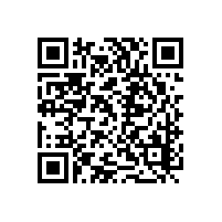 無(wú)堵塞轉(zhuǎn)子泵故障分析