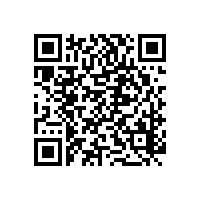無堵塞轉(zhuǎn)子泵結(jié)構(gòu)原理及選型
