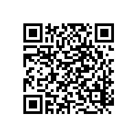 箱式壓濾機(jī)供料采用羅德凸輪轉(zhuǎn)子泵