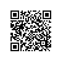 国内变频器厂商的发展之路