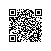 殘疾人蹲便衛(wèi)生間扶手款式簡(jiǎn)約支持定制【藍(lán)品盾】