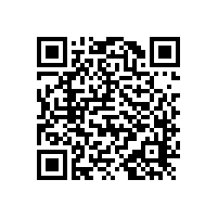 老人衛(wèi)生間安全扶手-簡約大方【藍(lán)品盾】