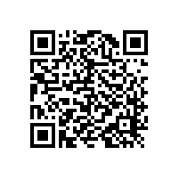 室內(nèi)無(wú)障礙扶手擁有個(gè)性化的設(shè)計(jì)！【藍(lán)品盾】