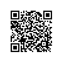 【實(shí)用的】蹲、坐便器兩用式助力架