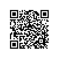 衛(wèi)生間老人扶手帶卷紙的簡約化設(shè)計(jì)【藍(lán)品盾】