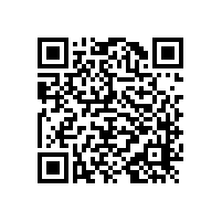 幼兒園~公共廁所蹲便器扶手的款式【藍品盾】