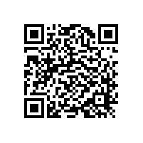 浴室老人扶手/結實便利【藍品盾】