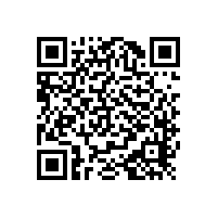 醫(yī)院入墻式木扶手/承重力強(qiáng)可訂制【藍(lán)品盾】