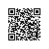 出口石墨电极两用物项许可证办理流程，巨晖国际代理报关公司详解