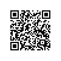 破解美国清关痛点 青岛巨晖一站式搞定 IOR 及海关 BOND