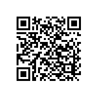 青岛 / 广州 / 上海锡兰肉桂报关｜斯里兰卡香料进口代理公司