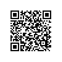 本土智造Parker儀表球閥TLB系列