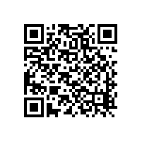 2205与S22053是同一种双相不锈钢吗？