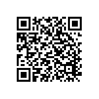 廣州斐特思公學學校