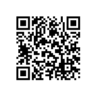 2013年德國(guó)斯派克直讀光譜分析技術(shù)及應(yīng)用研討會(huì)-東莞站