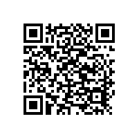 佛山XX模具鋼廠購(gòu)買手持式光譜儀成功案例